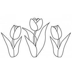 Coloring page: Tulip (Nature) #161684 - Free Printable Coloring Pages