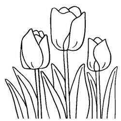 Coloring page: Tulip (Nature) #161701 - Free Printable Coloring Pages