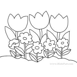 Coloring page: Tulip (Nature) #161758 - Free Printable Coloring Pages