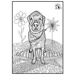 Coloring page: Art Therapy (Relaxation) #23231 - Free Printable Coloring Pages