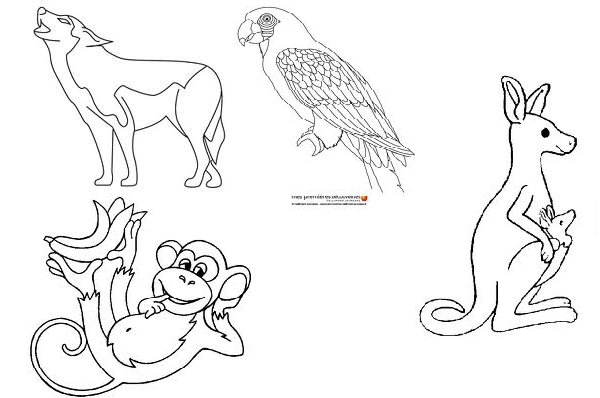 Zoo 129 Animals Printable Coloring Pages