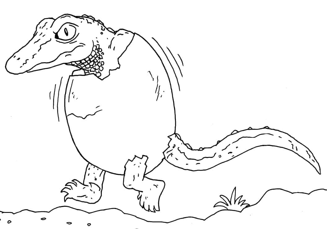 Free printable Alligator coloring page #210219 from Animals collection