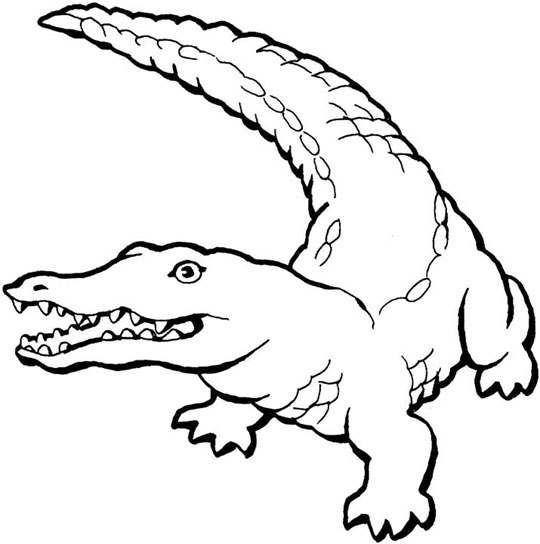 Coloring page: Alligator (Animals) #376 - Printable coloring pages