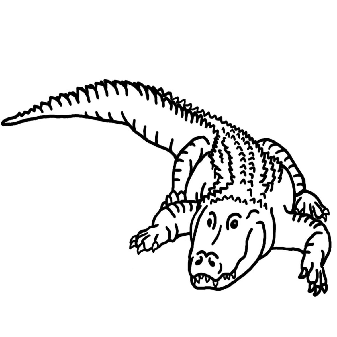 Coloring page: Alligator (Animals) #380 - Free Printable Coloring Pages