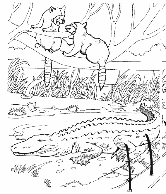 Coloring page: Alligator (Animals) #421 - Free Printable Coloring Pages