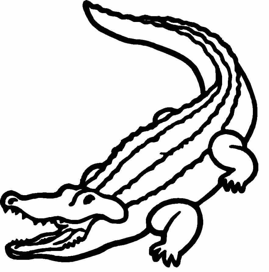 Alligator (Animals) Free Printable Coloring Pages