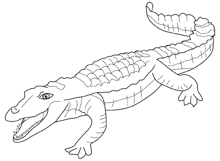Coloring page: Alligator (Animals) #429 - Free Printable Coloring Pages