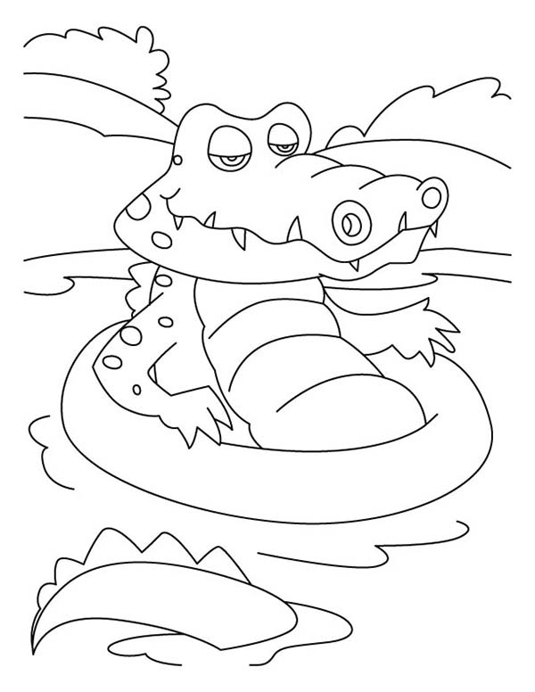 Coloring page: Alligator (Animals) #451 - Free Printable Coloring Pages