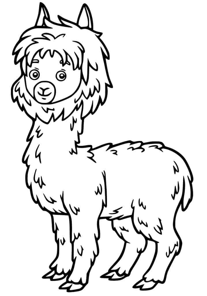 Free printable Alpaca coloring page #217294 from Animals collection