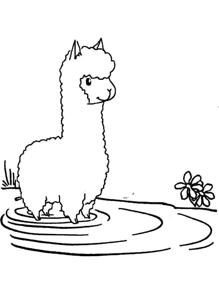 Free printable Alpaca coloring page #217301 from Animals collection