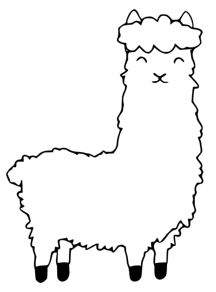 Free printable Alpaca coloring page #217304 from Animals collection