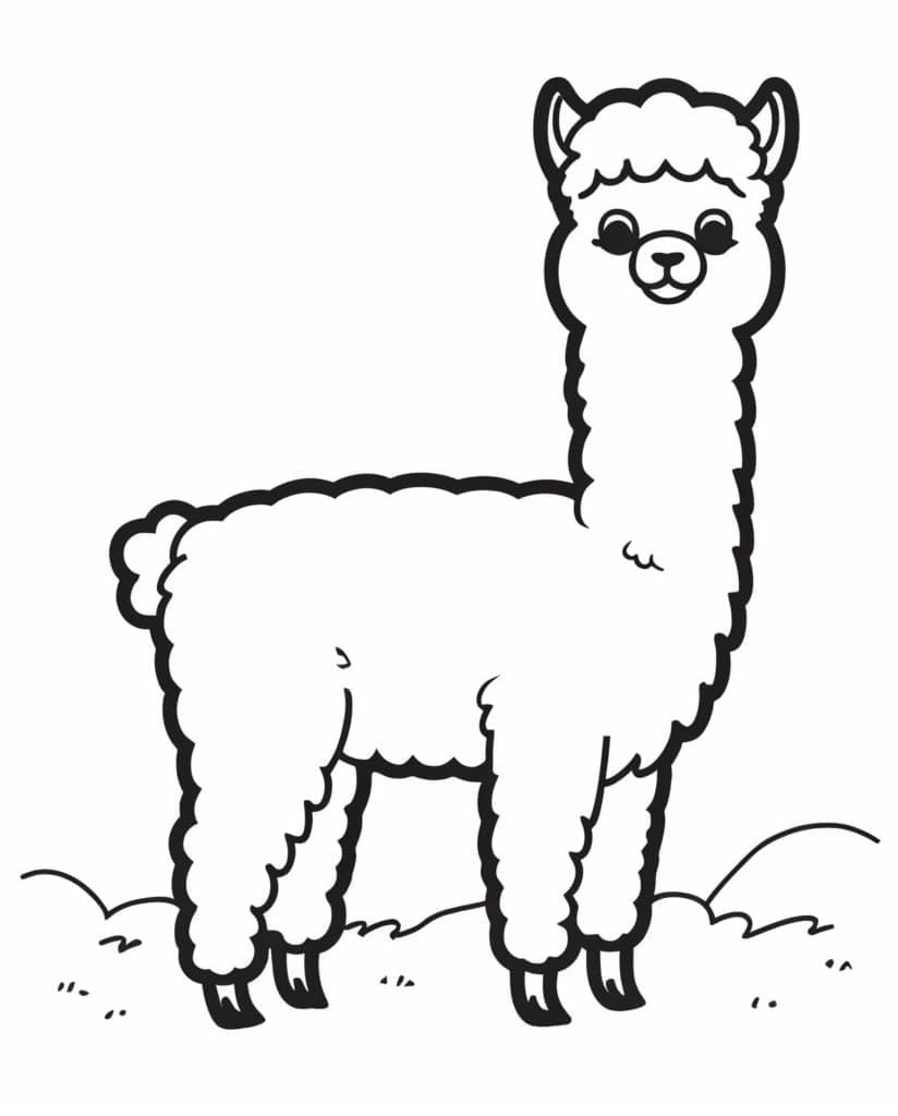 Free printable Alpaca coloring page #217307 from Animals collection