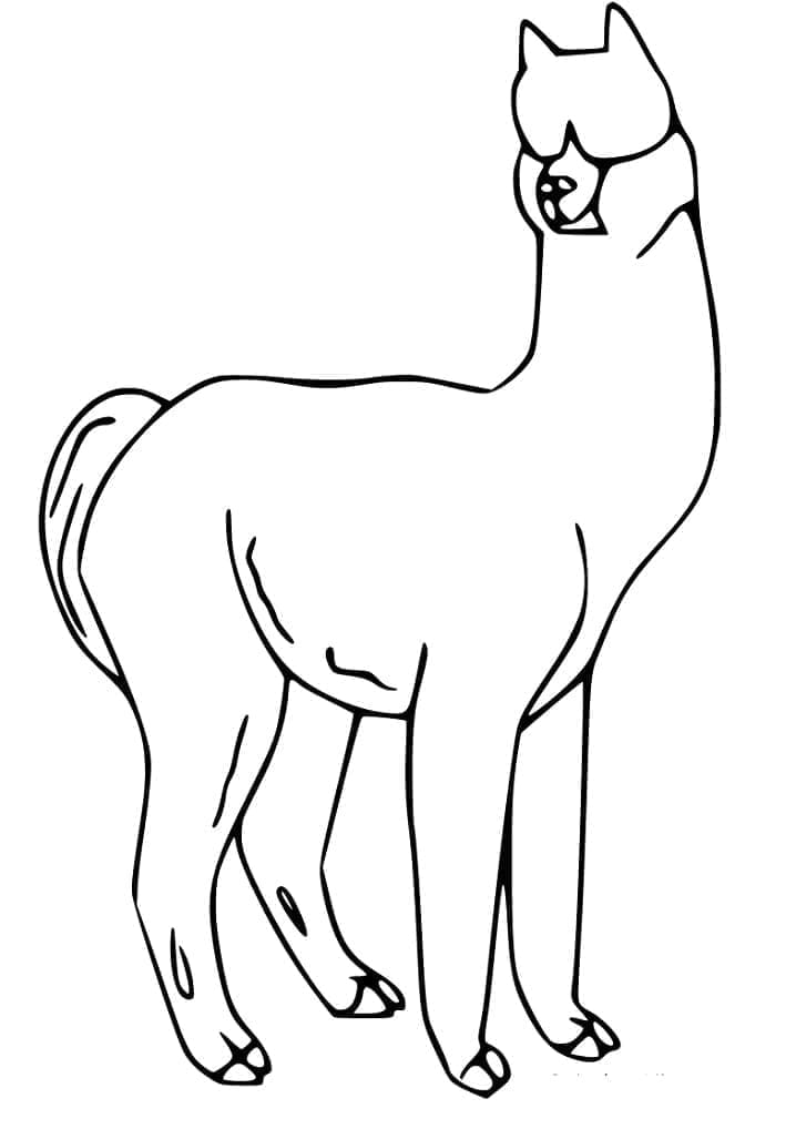 Free printable Alpaca coloring page #217311 from Animals collection