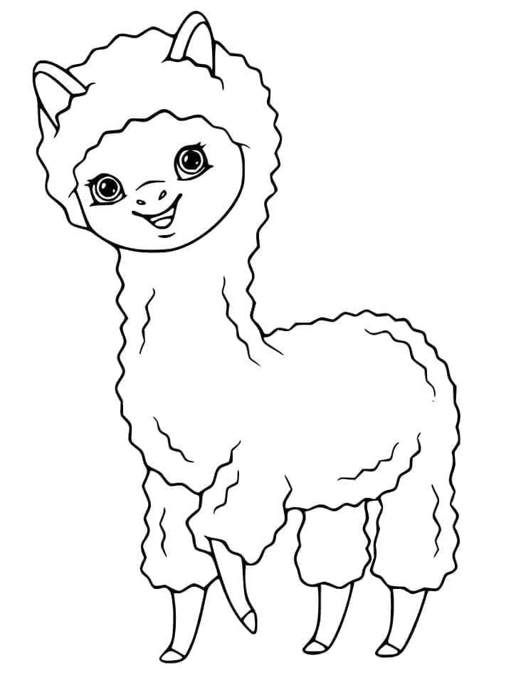 Free printable Alpaca coloring page #217313 from Animals collection Free printable Alpaca coloring page #217313 from Animals collection