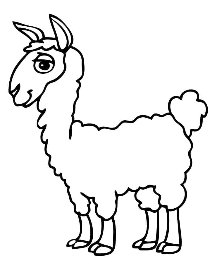 Free printable Alpaca coloring page #217315 from Animals collection