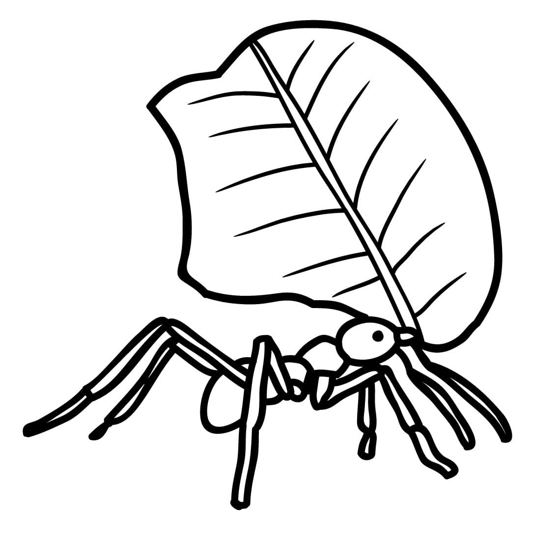 Free printable Ant coloring page #196457 from Animals collection