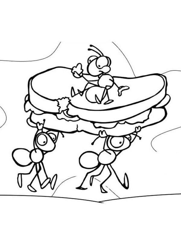 Free printable Ant coloring page #196458 from Animals collection