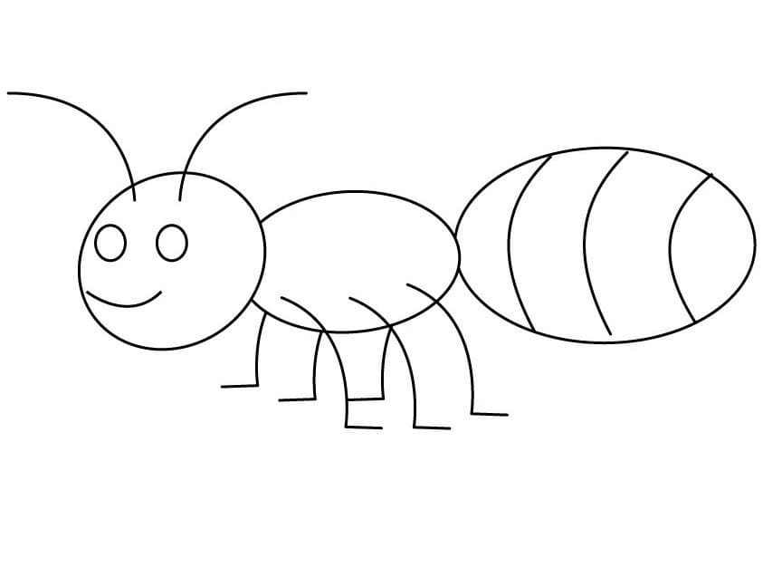 Free printable Ant coloring page #196476 from Animals collection