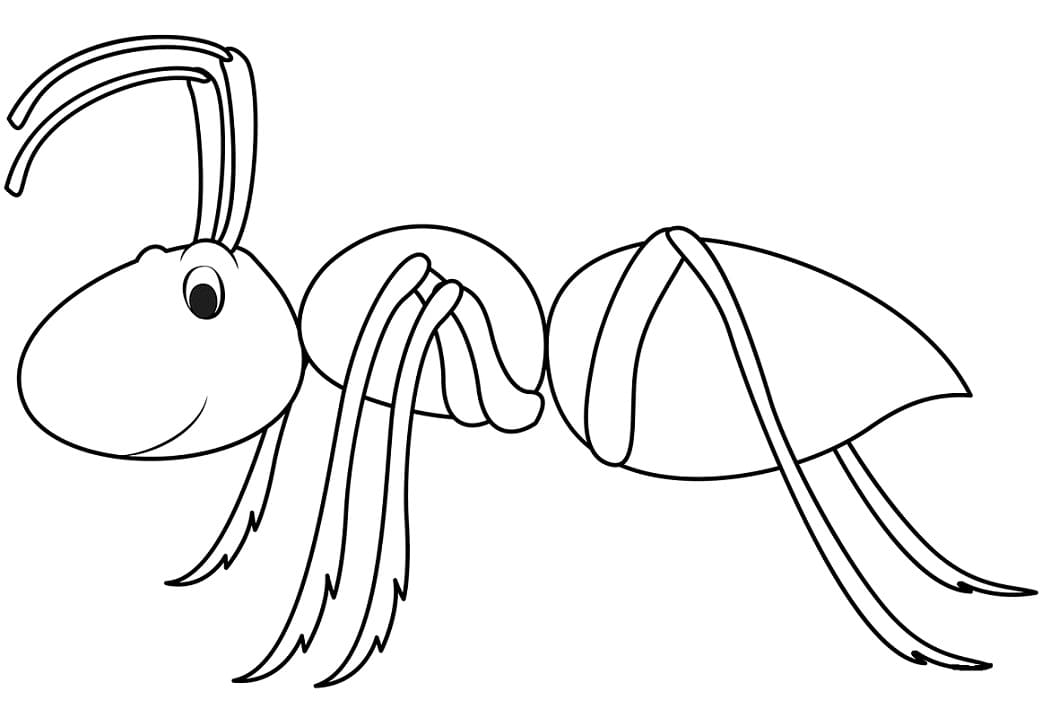 Free printable Ant coloring page #196480 from Animals collection