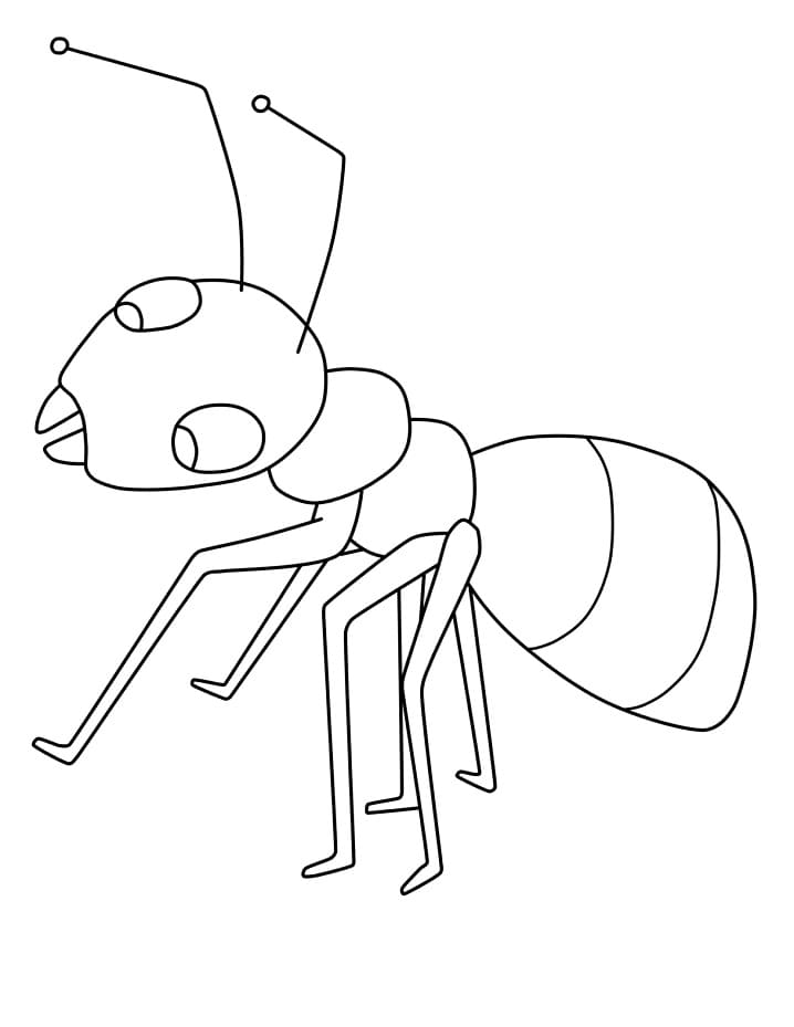 Free printable Ant coloring page #196489 from Animals collection
