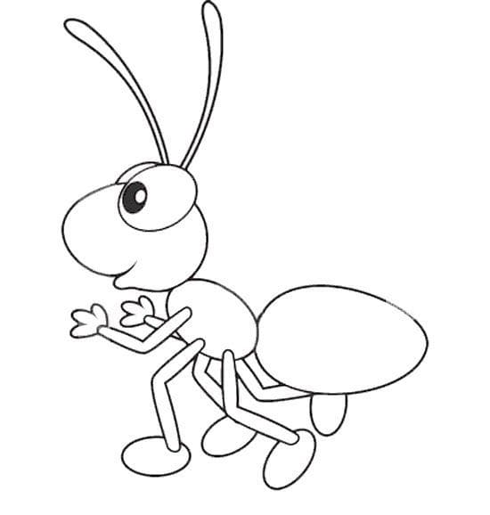 Free printable Ant coloring page #196499 from Animals collection