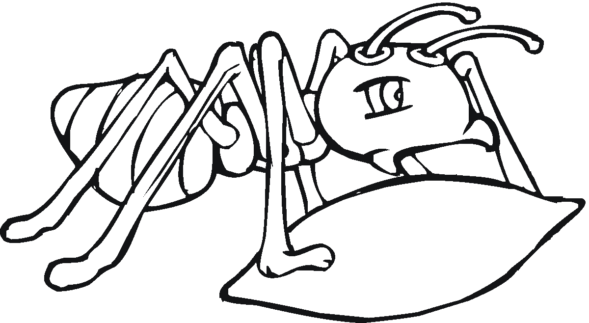 Coloring page: Ant (Animals) #6920 - Free Printable Coloring Pages