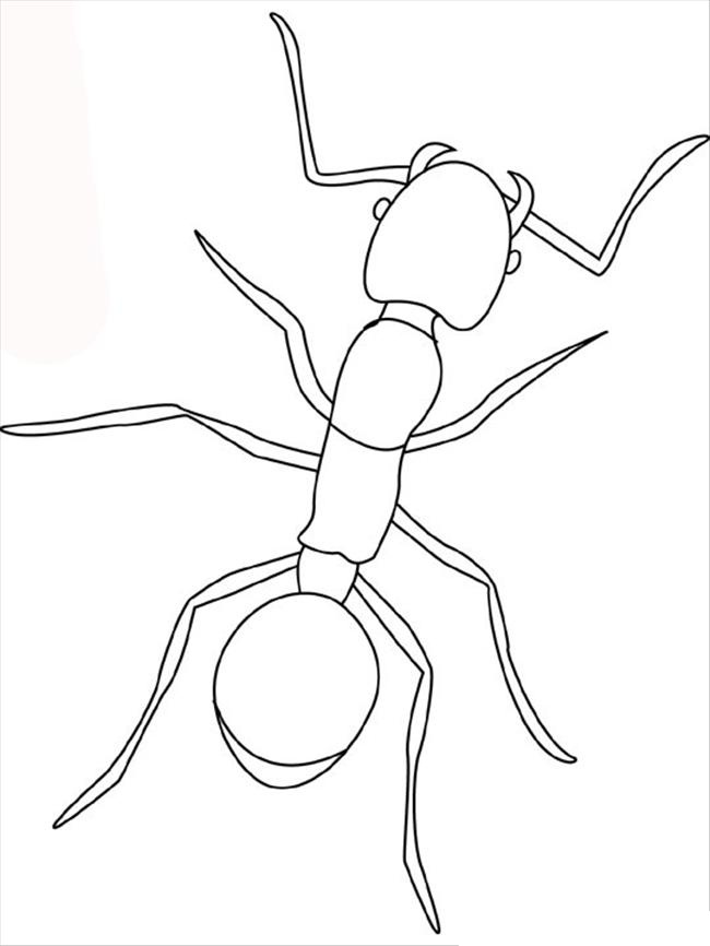 Coloring page: Ant (Animals) #6921 - Free Printable Coloring Pages