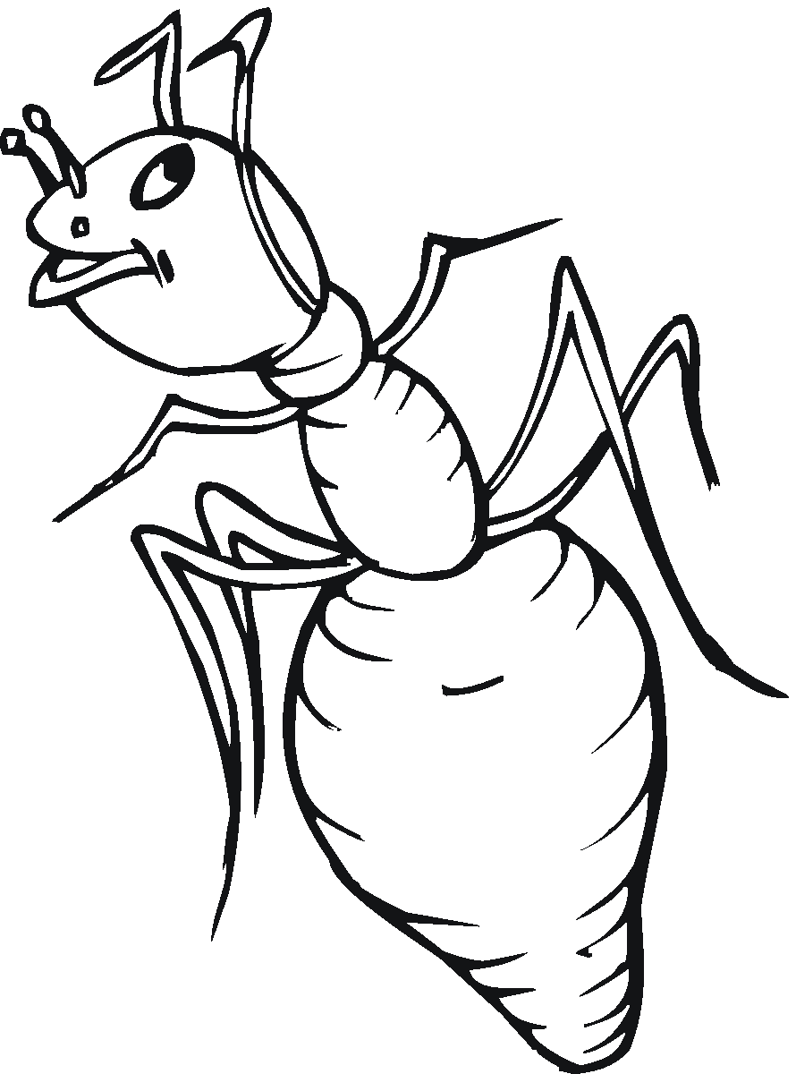Coloring page: Ant (Animals) #6928 - Printable coloring pages