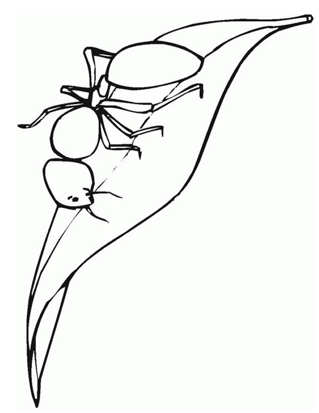 Coloring page: Ant (Animals) #6934 - Free Printable Coloring Pages