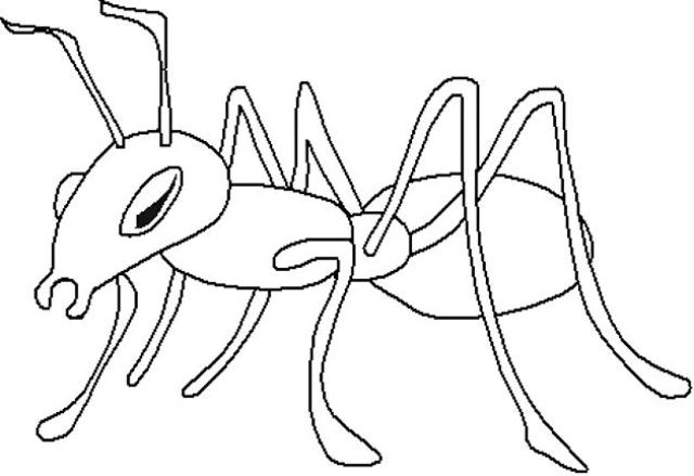 Coloring page: Ant (Animals) #6947 - Free Printable Coloring Pages