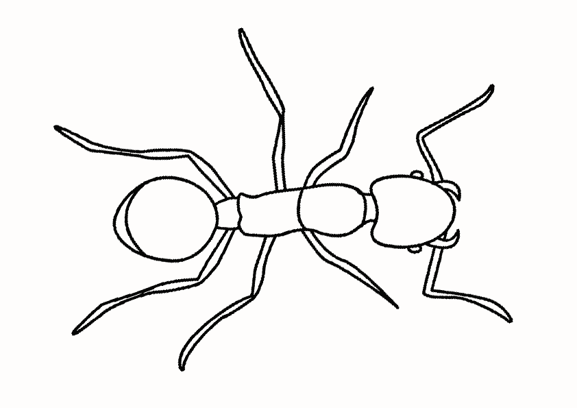 Coloring page: Ant (Animals) #6954 - Free Printable Coloring Pages