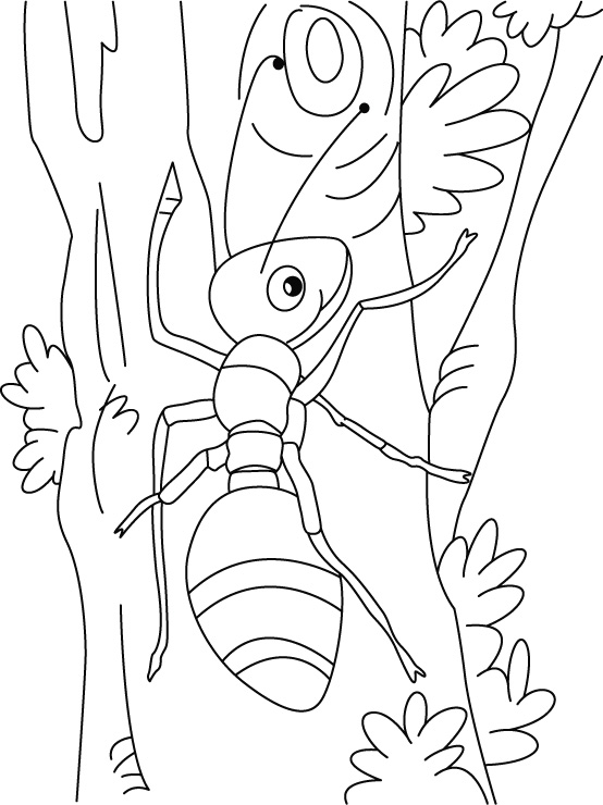 Coloring page: Ant (Animals) #6957 - Free Printable Coloring Pages