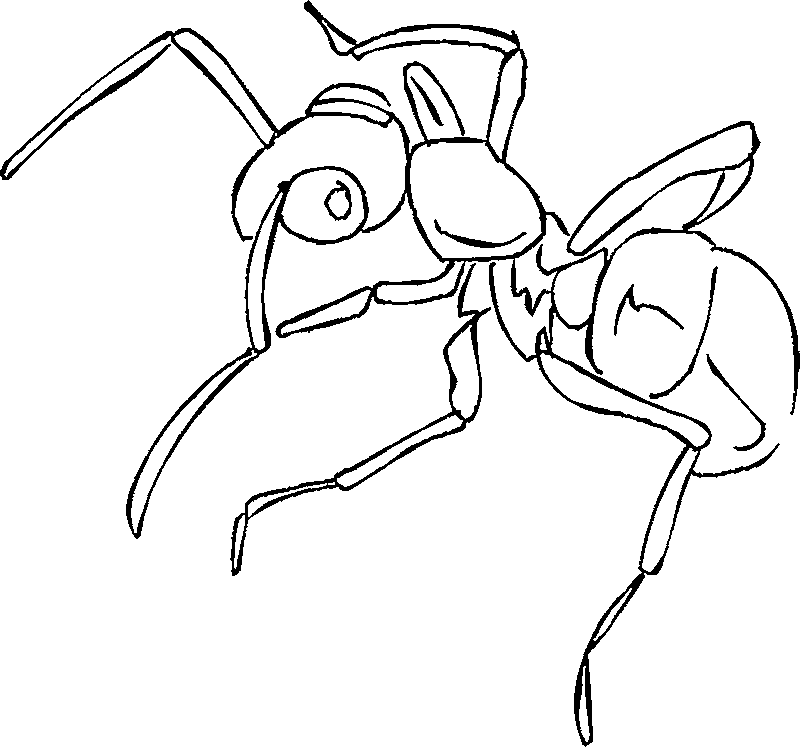 Coloring page: Ant (Animals) #6961 - Printable coloring pages