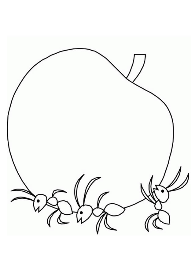 Coloring page: Ant (Animals) #6964 - Free Printable Coloring Pages