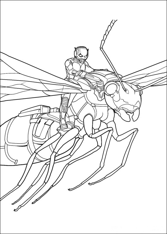 Coloring page: Ant (Animals) #6976 - Free Printable Coloring Pages