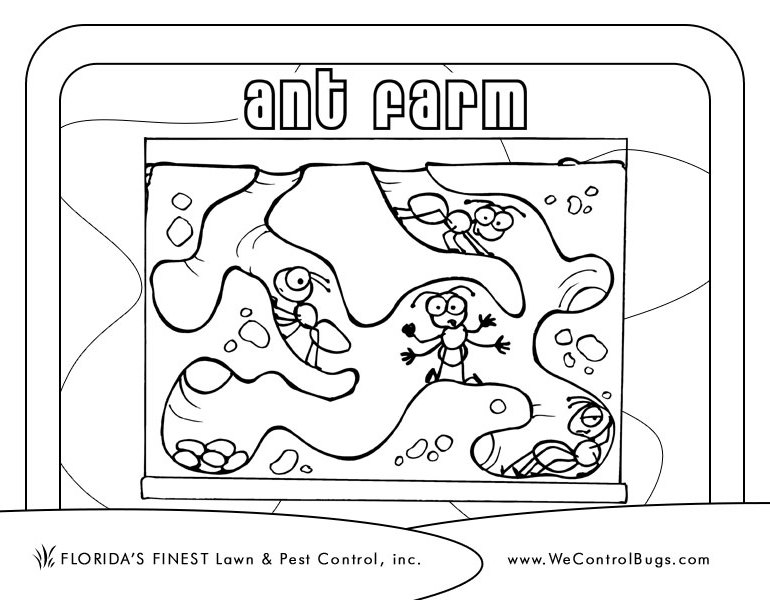 Coloring page: Ant (Animals) #7010 - Printable coloring pages