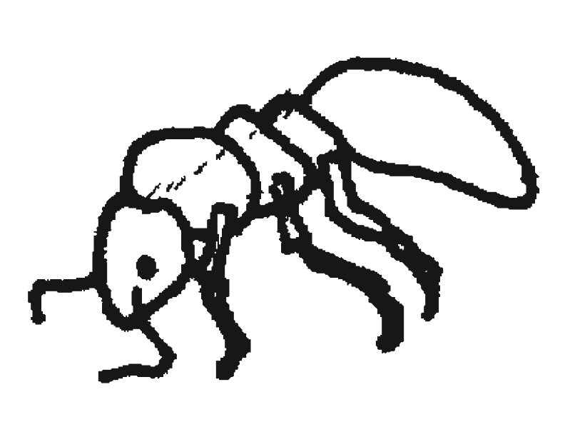 Coloring page: Ant (Animals) #7038 - Free Printable Coloring Pages