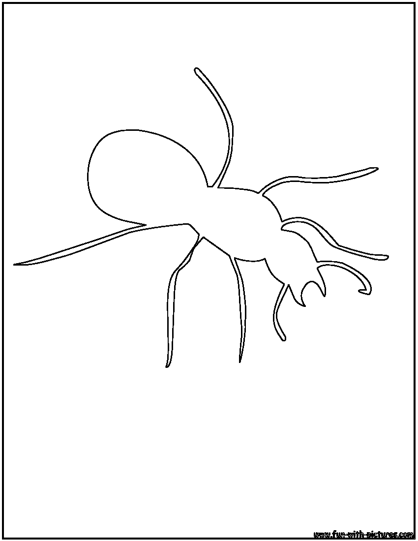Coloring page: Ant (Animals) #7094 - Free Printable Coloring Pages