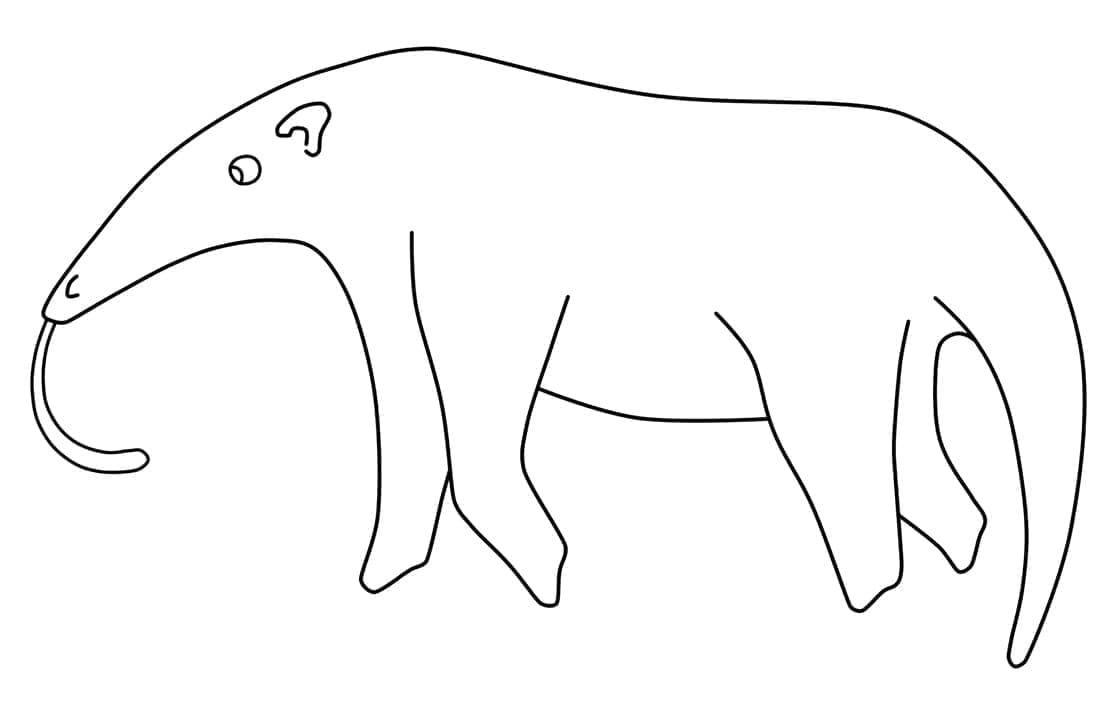 Free printable Anteater coloring page #219664 from Animals collection