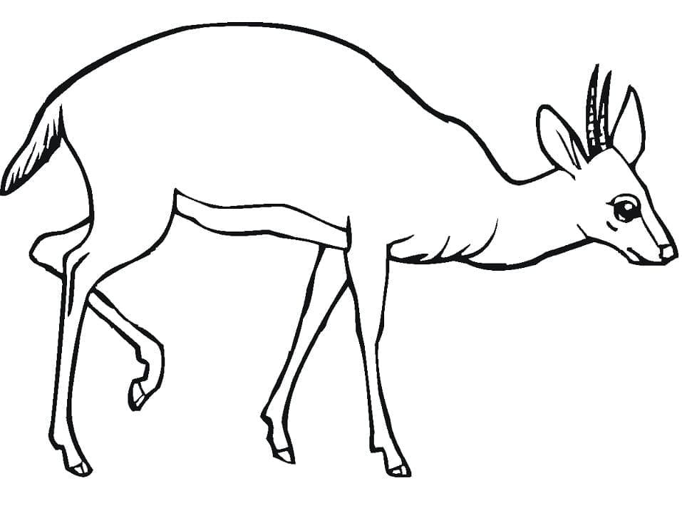 Free printable Antelope coloring page #210745 from Animals collection