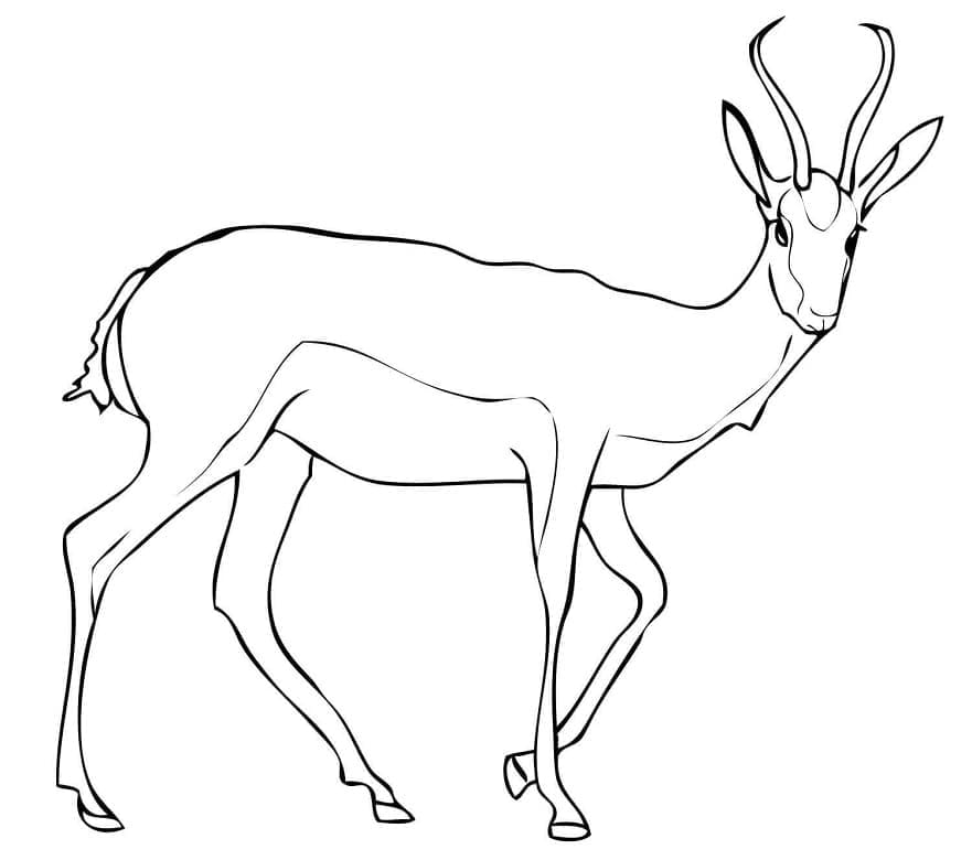 Free printable Antelope coloring page #210746 from Animals collection
