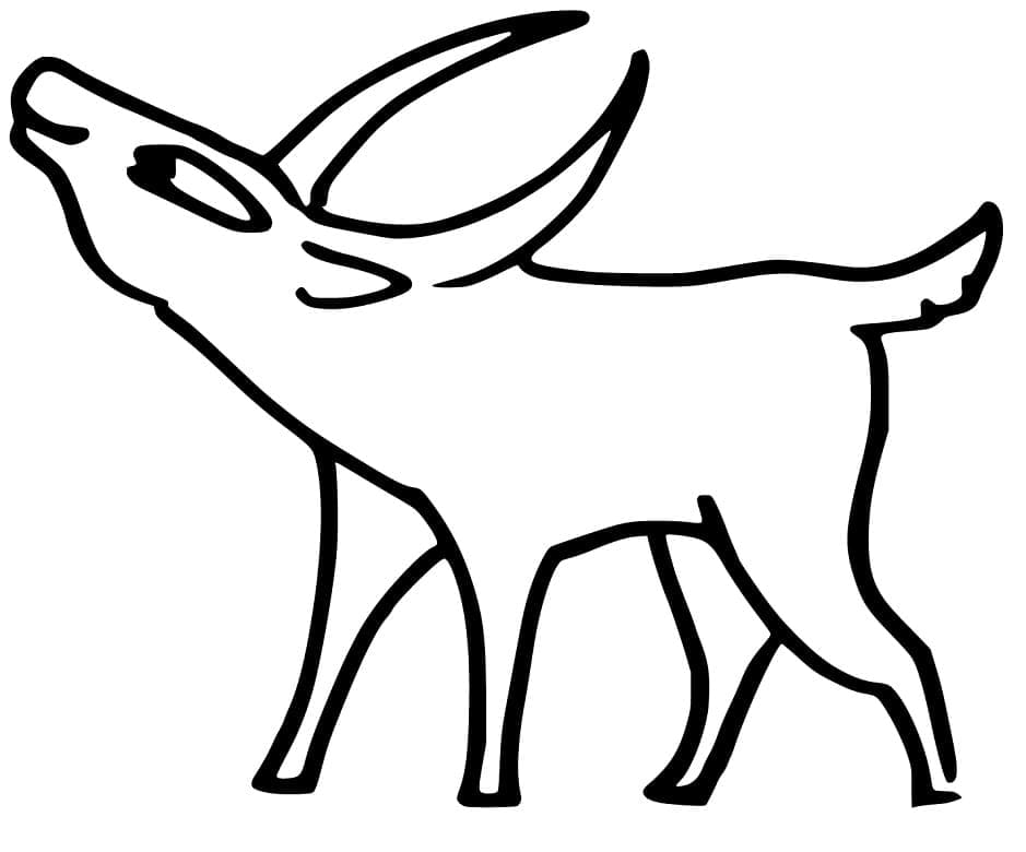 Free printable Antelope coloring page #210747 from Animals collection
