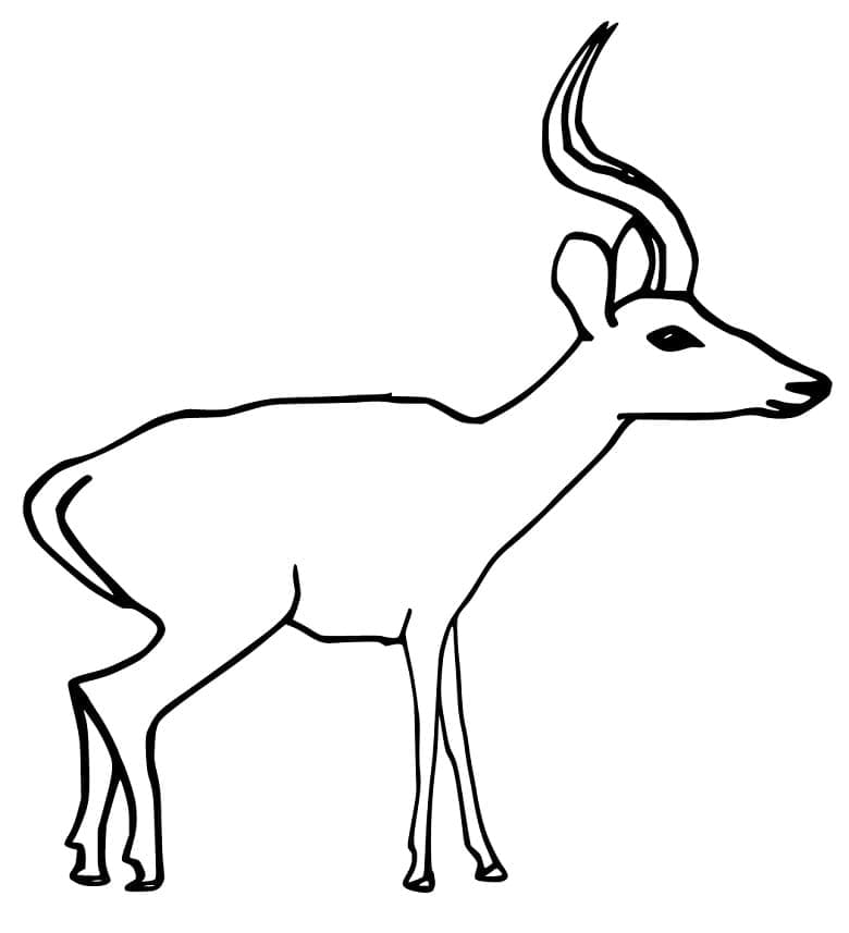Free printable Antelope coloring page #210749 from Animals collection