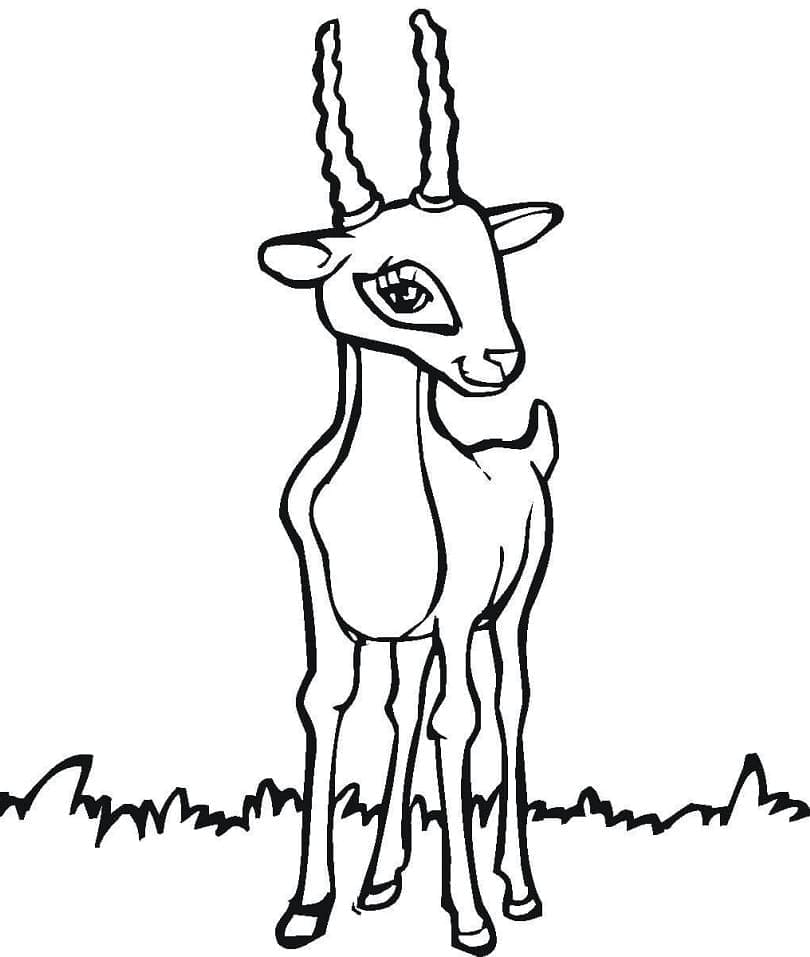 Free printable Antelope coloring page #210752 from Animals collection