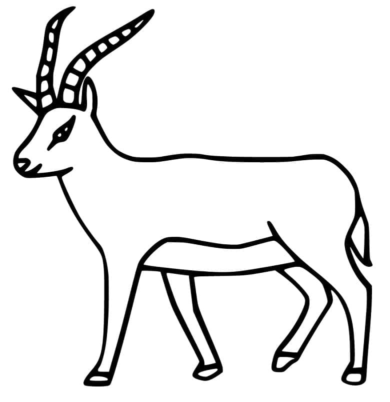 Free printable Antelope coloring page #210762 from Animals collection