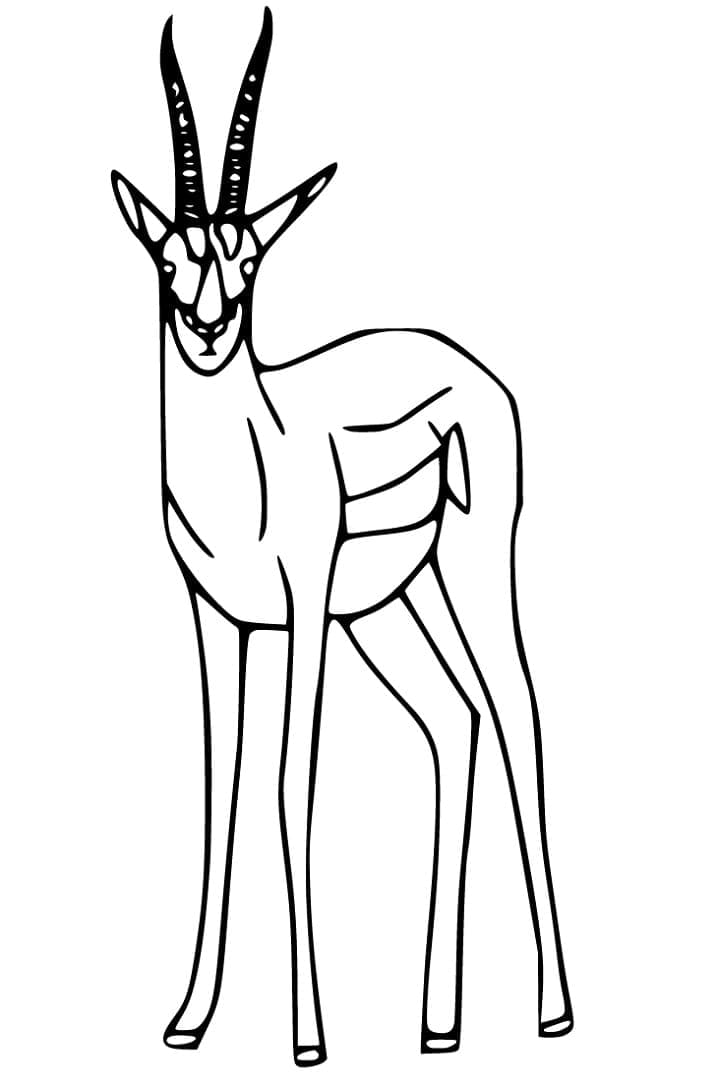 Free printable Antelope coloring page #210764 from Animals collection