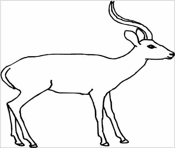 Coloring page: Antelope (Animals) #22591 - Free Printable Coloring Pages
