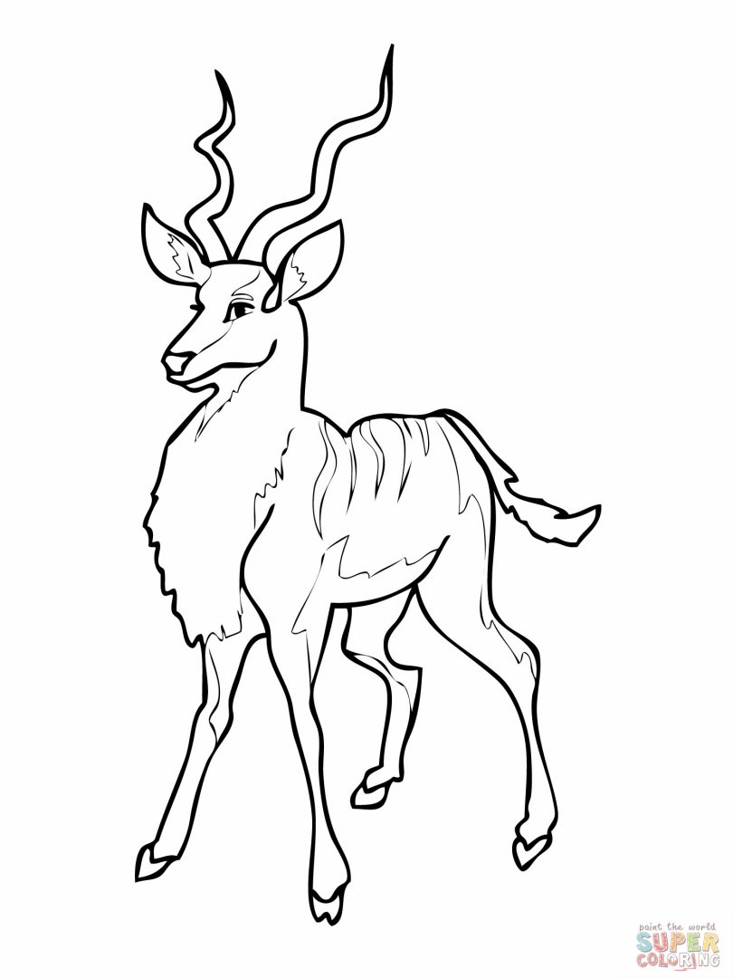 Coloring page: Antelope (Animals) #22598 - Free Printable Coloring Pages