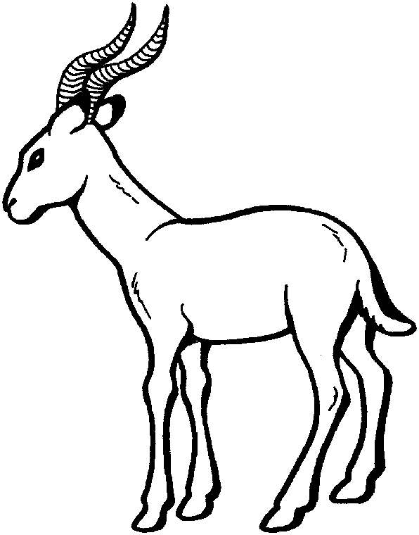 Coloring page: Antelope (Animals) #22599 - Free Printable Coloring Pages