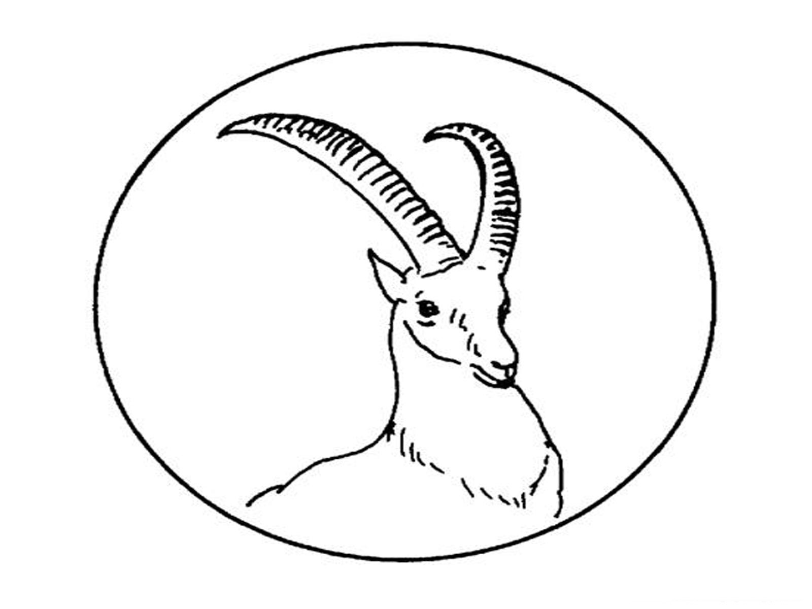 Coloring page: Antelope (Animals) #22602 - Free Printable Coloring Pages